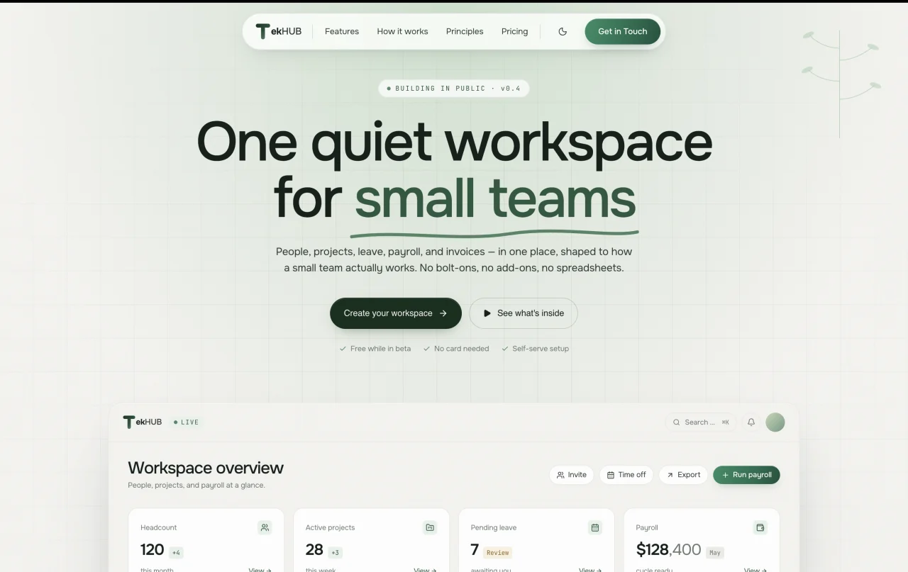 TekHub website showing its small-team workspace, payroll, and project overview